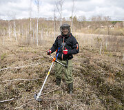 &Scaron;ilėnų pelkės orchidėjų gelbėjimas 