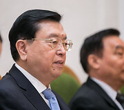 Zhang Dejiangas