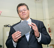 Maro&scaron; &Scaron;efčovičius