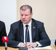 Gabrielius Landsbergis ir Saulius Skvernelis