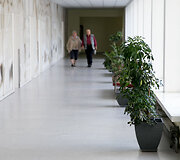 Vilniaus miesto klinikinės ligoninės Antakalnio filialas