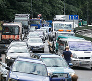 Geležinio vilko gatvėje ant automobilio užvirto medis
