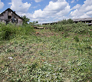 Medžių kirtimas Vilniaus Kirtimų tabore