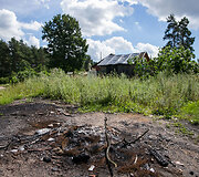 Medžių kirtimas Vilniaus Kirtimų tabore