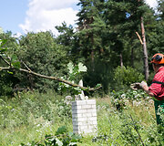 Medžių kirtimas Vilniaus Kirtimų tabore