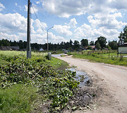 Medžių kirtimas Vilniaus Kirtimų tabore