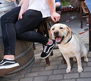 Festivalis &bdquo;Vilnius Burger Fest&ldquo;