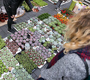 Tautų mugės gėrybės