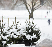 Žiemi&scaron;kas sekmadienis Vingio parke