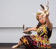 Paroda Adventur 2018