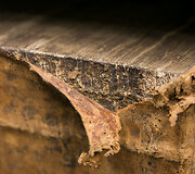 Taip trijų &scaron;imtų metų amžiaus dokumentas atrodo dabar.