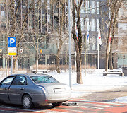 Daivos Tamo&scaron;iūnaitės automobilis