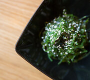 Salotos wakame
