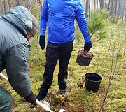 &bdquo;Vanago keliais 2018&ldquo;