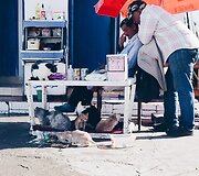 Žvejai Essouira turguje