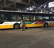 &Scaron;iauliuose &ndash; Lietuvos partizanų nuotraukomis ir citatomis papuo&scaron;ti autobusai