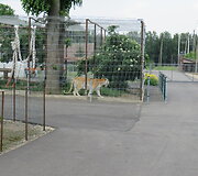 Trakėnų zoologijos sode