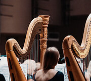 LVSO