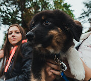 Kauną sudrebino įspūdingos &bdquo;Red Bull muilinių lenktynės&ldquo;