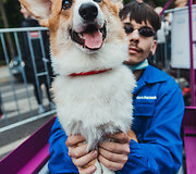 Kauną sudrebino įspūdingos &bdquo;Red Bull muilinių lenktynės&ldquo;