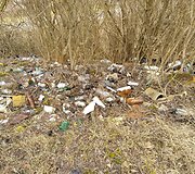 Pagiriuose &ndash; &scaron;iuk&scaron;lynas buvusiame garažų masyve 