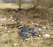 Pagiriuose &ndash; &scaron;iuk&scaron;lynas buvusiame garažų masyve 