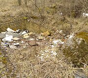 Pagiriuose &ndash; &scaron;iuk&scaron;lynas buvusiame garažų masyve 