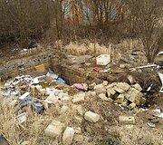Pagiriuose &ndash; &scaron;iuk&scaron;lynas buvusiame garažų masyve 