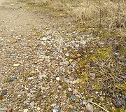 Pagiriuose &ndash; &scaron;iuk&scaron;lynas buvusiame garažų masyve 