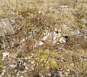Sklypas buvusiame garažų masyve, kurį gyventojas pasirinko pagal nuosavybės teisių atkūrimą