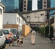 Vaizdai i&scaron; loftų miestelio buvusioje keramikos gamykloje Milane