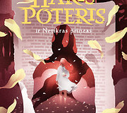 Haris Poteris ir Netikras Princas