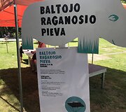 Anyk&scaron;čiuose praūžė literatūrinis festivalis visai &scaron;eimai &bdquo;Nuotykiai tęsiasi&ldquo;