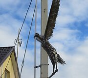 1,5 tūkst. peilių ir &scaron;akučių pauk&scaron;tis