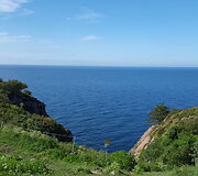 Vie&scaron;nagė &Scaron;vedijoje