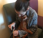 Viktorijos Jakučinskaitės katinas Hemingvėjus