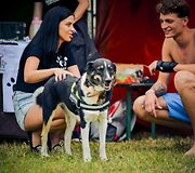 Festivalio pramogos