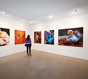 2-oji Vilniaus galerijų savaitgalio diena