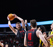 Gytis Radzevičius