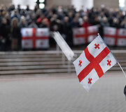 Protestuojančių kartvelų palaikymo akcija