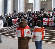 Protestuojančių kartvelų palaikymo akcija