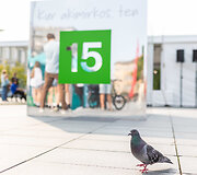Vilniaus Luki&scaron;kių aik&scaron;tėje ir Gedimino prospekte vyksta &bdquo;eJudėjimo&ldquo; festivalis
