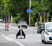 Žveryne dingo elektra