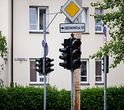 Žveryne dingo elektra