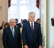 Frankas Walteris Steinmeieris, Gitanas Nausėda