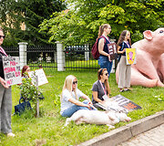 Nevyriausybinė gyvūnų apsaugos organizacija &bdquo;Tu&scaron;ti narvai&ldquo; surengė protestą prie Valstybinės maisto ir veterinarijos tarnybos 