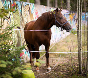 Helovino parkas Ry&scaron;ių centro bunkeryje