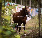 Helovino parkas Ry&scaron;ių centro bunkeryje