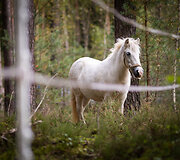 Helovino parkas Ry&scaron;ių centro bunkeryje