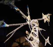 Helovino parkas Ry&scaron;ių centro bunkeryje